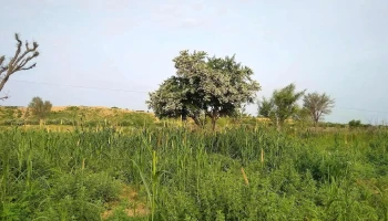 Anupgarh Shaka - ராஜஸ்தான்
