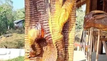 Garo Hills - Tura, துற