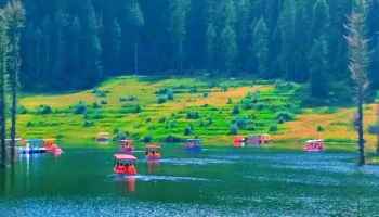 Koli Dhek Lake - Lohaghat