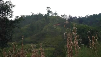 Mairang C&rd Block - Mairang, மைரங்