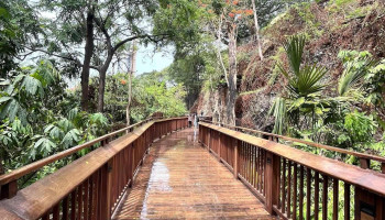 Malabar Hill Elevated Nature Trail - Walkeshwar