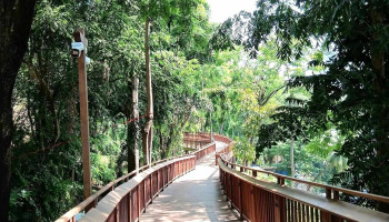 Malabar Hill Forest Trial - Siri Rd