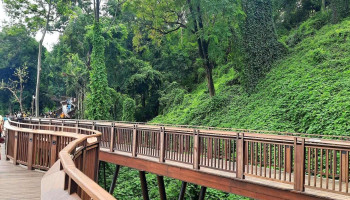 Malabar Hill Nature Trail (Entry Gate) - Siri Rd