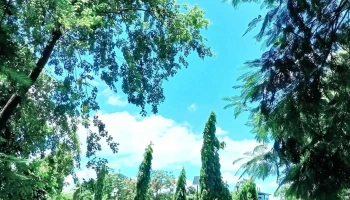 Mankachar College, Mankachar - Mankachar, மன்கச்சர்