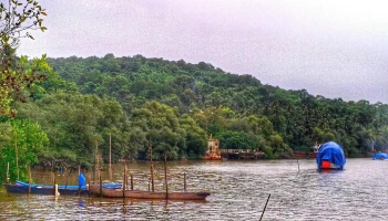 Mapusa River - கோவா