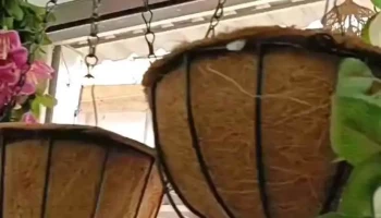 Narayani Decor and Furnishing - Sarbahal