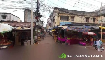 Nehil Garments - Daily Market
