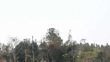 Nongmahir Island Resort - Kyrdem Kulai, கிர்தம் குலை