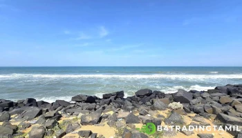 Rock Beach - Laporte St