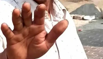 அடேலி - அடேலி