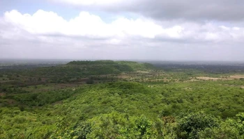 அனந்தகிரி ஹில்ஸ் வீப்பாய் - Godamguda