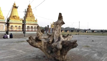 அமல்நேர் - அமல்நேர்