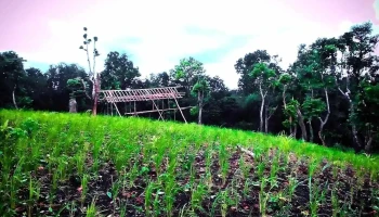 ஈஸ்ட் காரோ ஹில்ஸ் - மேகாலயா