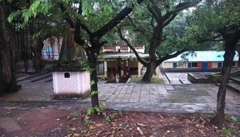 கோடாலி - கோடாலி