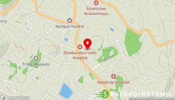 டிஸ்ட்ரிக்ட் வெல்பேர் ஆபிசர், கோராபுட் - Collectorate Main Rd