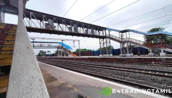 தல்செர் ரோடு - தசமானியா