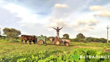 திண்டோரி - திண்டோரி