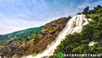 துடும வாட்டர் பால்ஸ் - படிகட