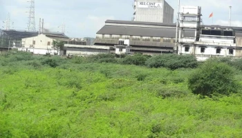 நெல்காஸ்ட் லிமிடெட் - 4Rmr+Vj5 Industrial Estate
