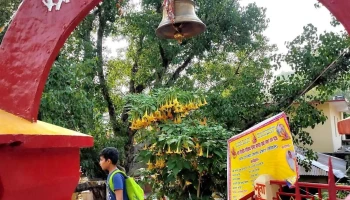 பீமேஷ்வர் இந்து டெம்பிள் - Daa