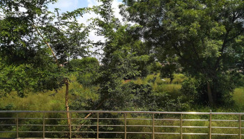 வில்ப் டிவிஷன், பிட்ஸ் பிலானி - Rana Pratap Marg