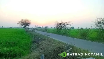 ஹிசார் - ஹிசார்