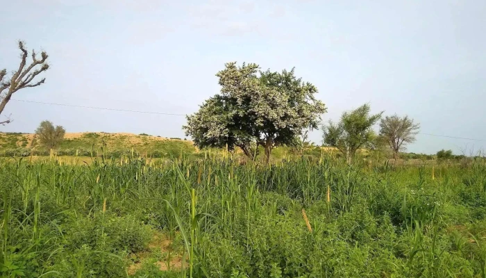 Anupgarh Shaka - ராஜஸ்தான்