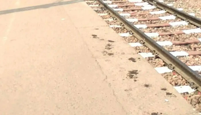 Caarkki Taatri Iruppuppaatai - Charkhi Dadri, சர்க்கி தாத்ரி