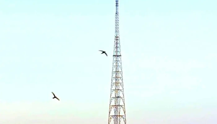 Fazilka Tv Tower - Fazilka District, Punjab, India - Baba Namdev Nagar