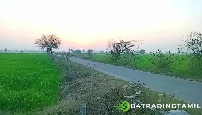 Hicaar Ellaam - ஹிசார்