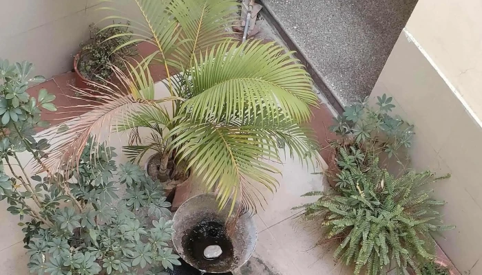 Icar National Dairy Research Institute -  தள்ளுபடிகள் - Karnal, கர்னால்