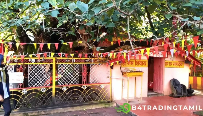Jagadguru Shankaracharya uttaramnaya mutt - Joshimath Army Area