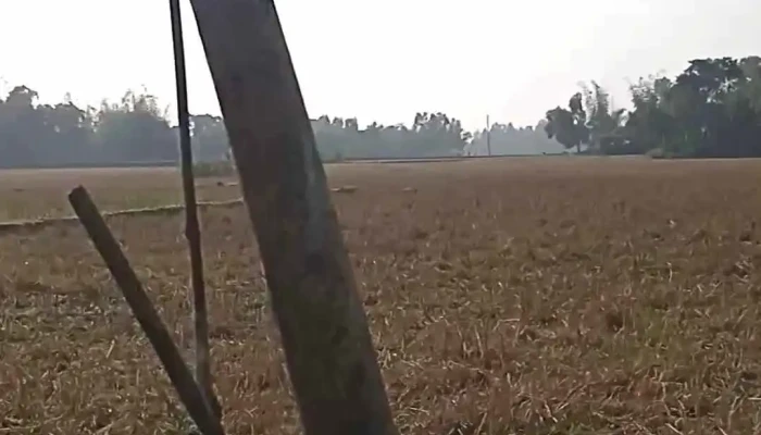 Kaaroo Mlai Viittiyoo - மேகாலயா