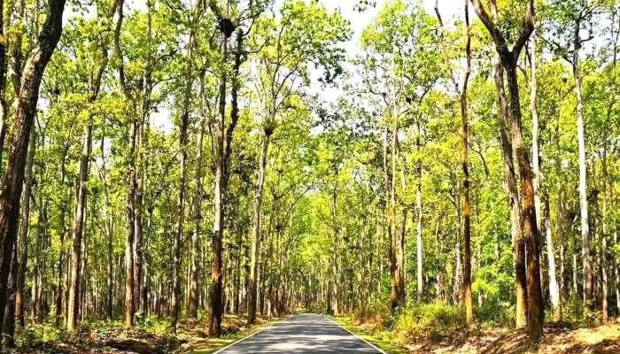 Kaaroo Mlai புகைப்படங்கள் - மேகாலயா