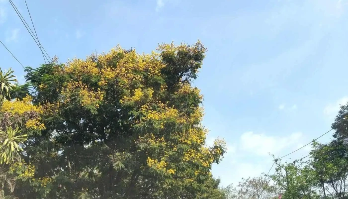 kalyani nagar pune - Kalyani Nagar