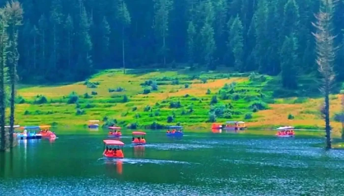 Koli Dhek Lake - Lohaghat