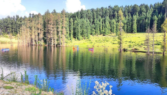 Lohaghat Jheel - Koli Dhek