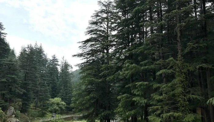 Lohawati River - போரடி