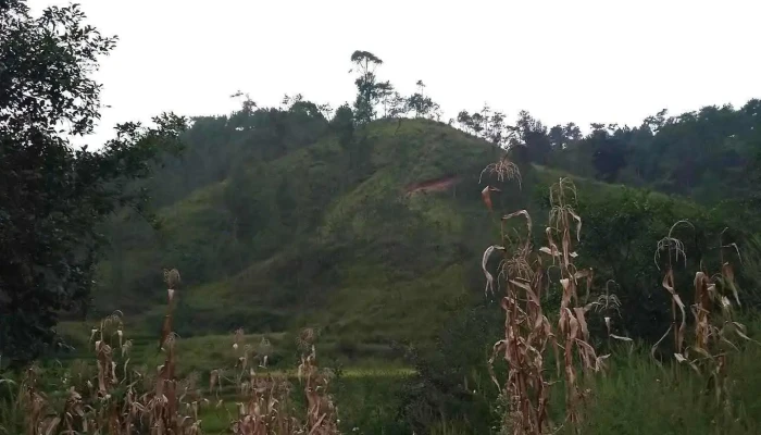 Mairang C&rd Block - Mairang, மைரங்