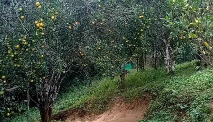 Mandalgre East Garo Hills Viittiyoo - Mandalgre, மண்டல்க்ரே