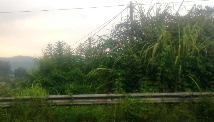 Meekaalyaa Ttuurism தொலைபேசி - Shillong, ஷில்லாங்