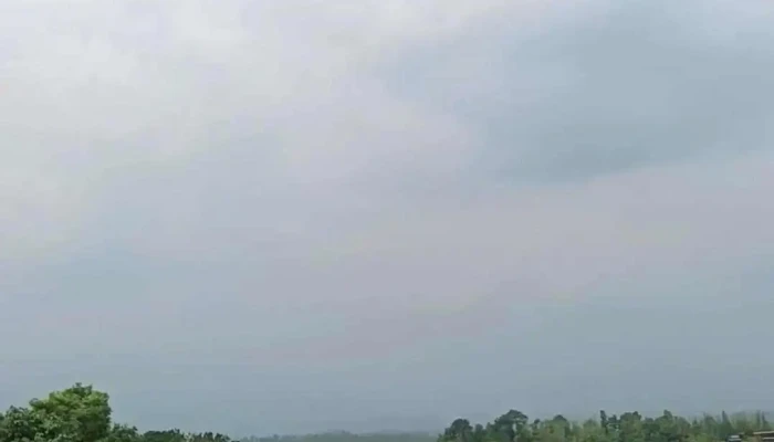 Naangkipooh Ttvunnn Viittiyoo - நாங்போ, நோன்க்க்ஹ்ராஹ்
