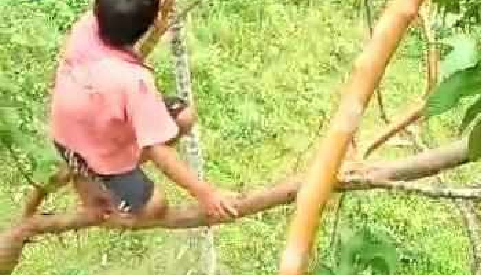 Naart Kaaroo Hils Viittiyoo - மேகாலயா