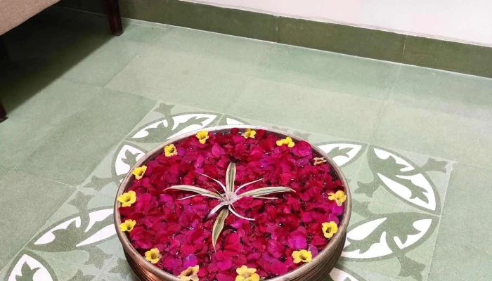 Naatttt Velnes அட்டவணை - Sonipat, பத க்ஹல்ச