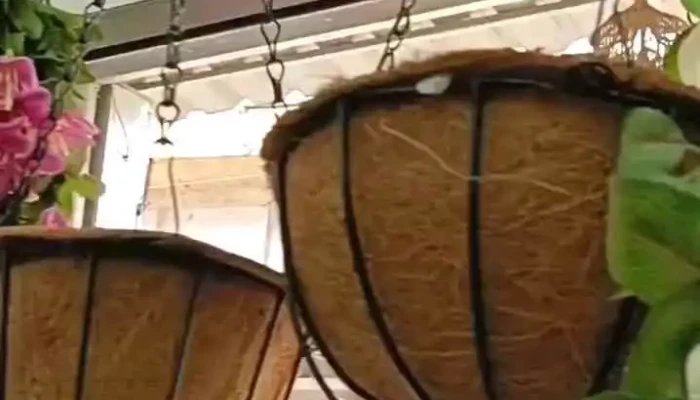 Narayani Decor and Furnishing - Sarbahal