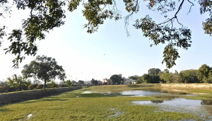 Nit Johad Kurukshetra பதவி உயர்வு - Thanesar, மிர்சாபூர் பர்ட்