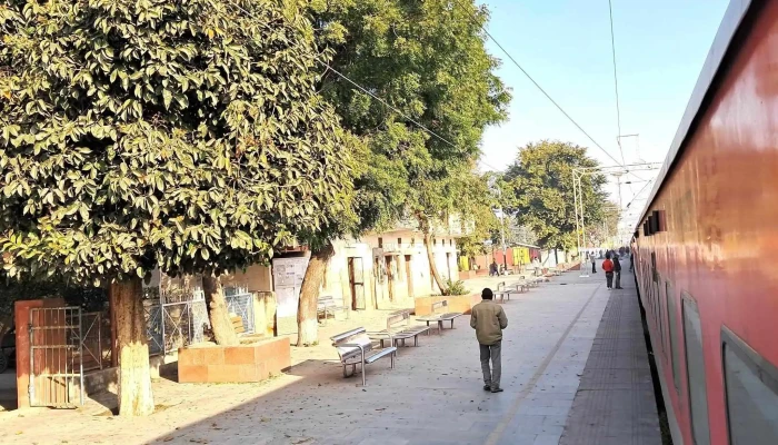 Plvaal முகவரி - Palwal, பல்வால்றுரல்
