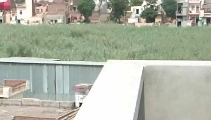 Prvaal Ellaam - பரவால