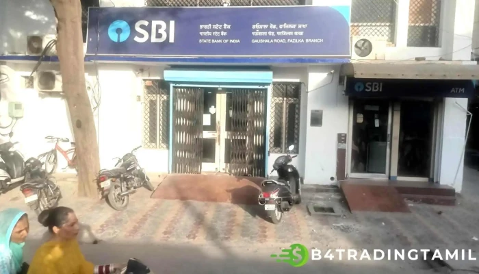 Sbi Main Fazilka Branch - Sector 1