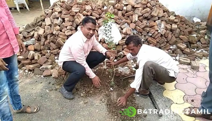 Stteett Vngki Aap Intiyaa Paattuur Piraanyc Viittiyoo - Akola, பாதூர்